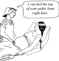 A health professional feeling the top of a mother's pubic bone