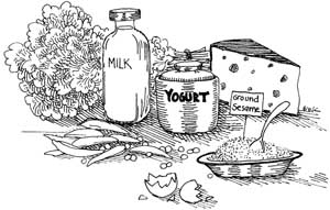 Milk, yoghurt, cheese, ground sesame, and beans