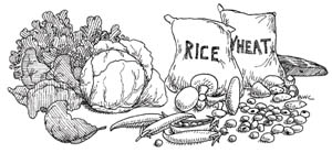 Food high in folate such as dark green leafy vegetables, brown rice, whole wheat, mushrooms and eggs.