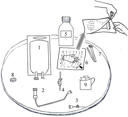 All the items needed for IV fluid therapy
