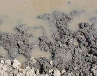 Dirty muddy water.