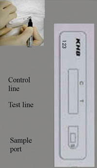 A photograph of a KHB kit showing the location of the sample port and the control and test lines.