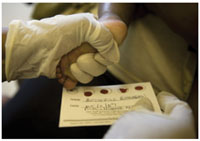 Blood samples being collected from a baby.