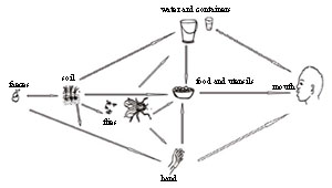 Different ways that faeco-oral transmission of infectious agents can occur