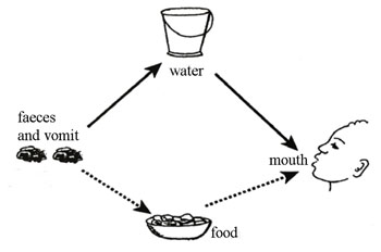 Main modes of transmission for most diarrhoeal diseases