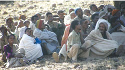 Group of men, women and children sitting down