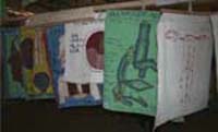 A collection of home-made posters hanging up.