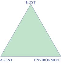 Communicable disease model.