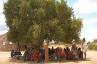 A group from the community gather underneath a tree.