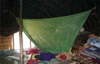 A green bed net is placed incorrectly over a bed.