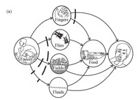 Pathways of diarrhoea transmission