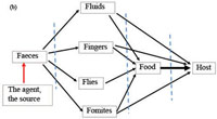 Pathways of diarrhoea transmission