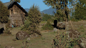 Dung cake for fuel drying on boulders