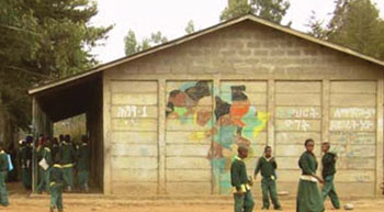 An elementary school