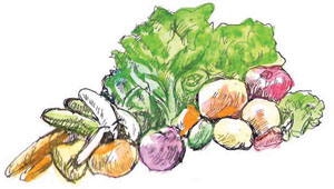 Fresh vegetables