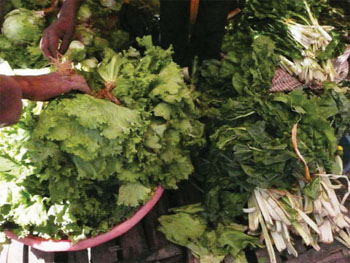 Leafy vegetables