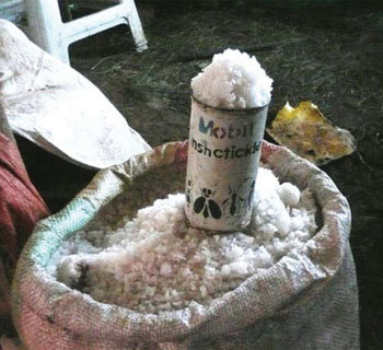 Insecticide can used as salt scoop