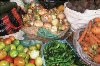 Fresh vegetables