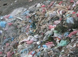 Non-biodegradable plastics
