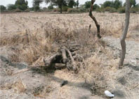 An open latrine