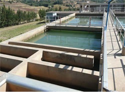 Sedimentation tank