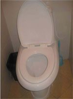 Cistern flush toilet