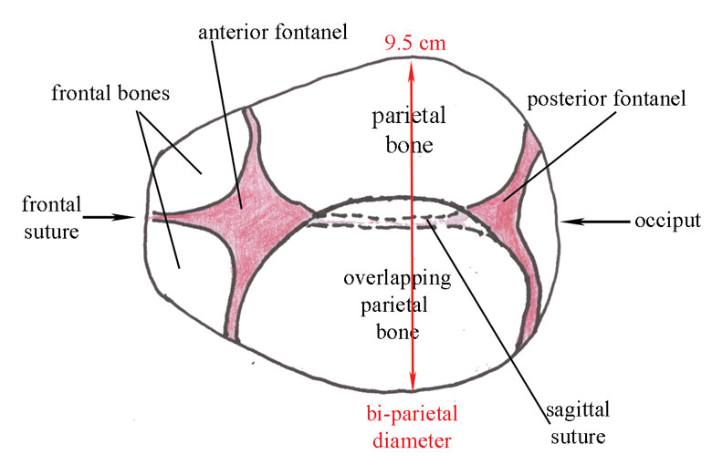 ldc_session1_fig8a.jpg