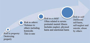 Potential risks associated with mental illness