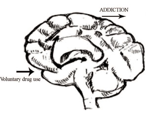 ncd_session14_fig1.jpg