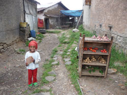 A happy, healthy child