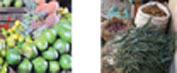 Fruit and vegetables