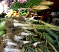 Fresh onions