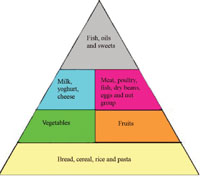Food guide pyramid