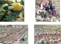 Pictures taken during a visit to women's income generating project