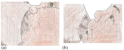 Two images side by side. The image on the left shows the baby with a good mouthful of breast and the image on the left shows a baby that does not have enough breast in its mouth.